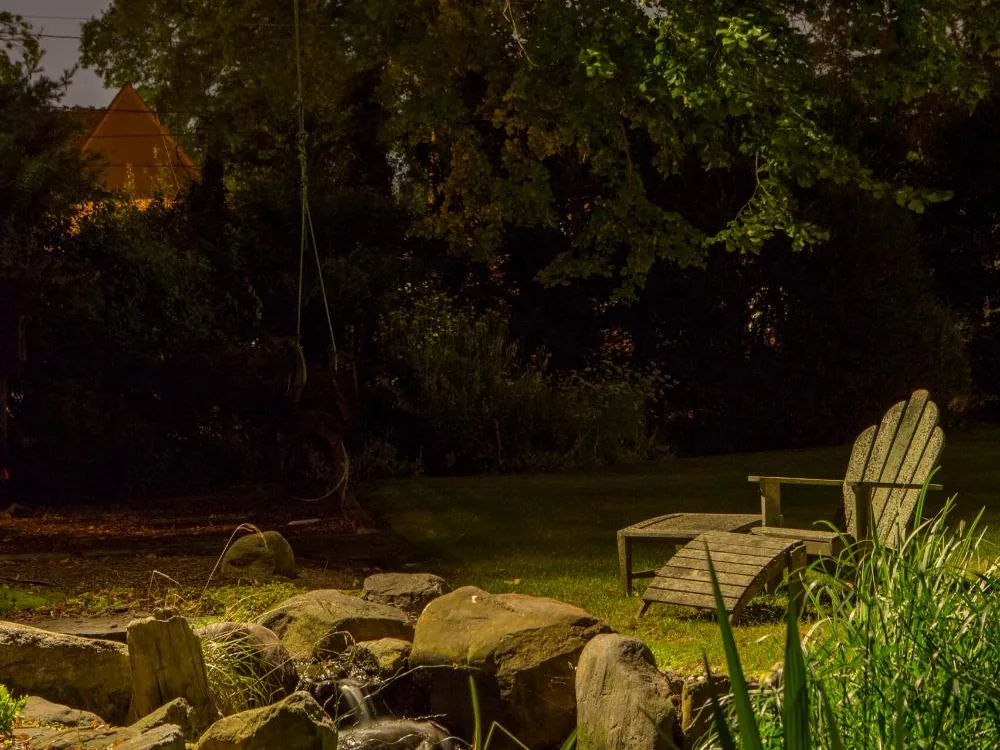 A lawn with two chairs lit from above by Coastal Source downlights in the trees