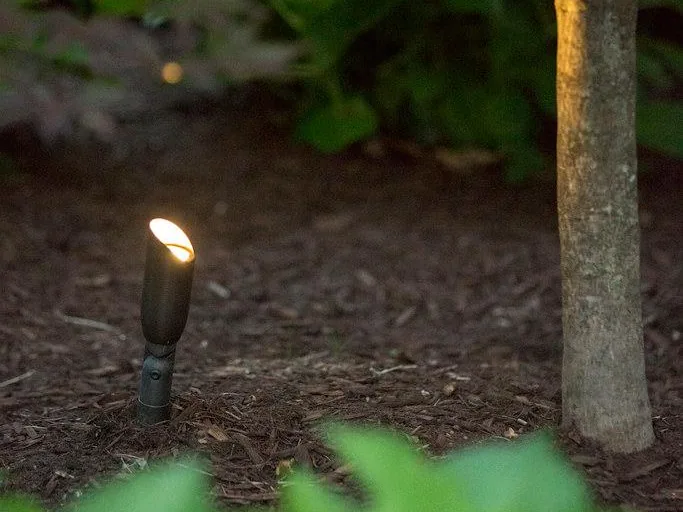 A Coastal Source brass uplight at the base of a Japanese maple